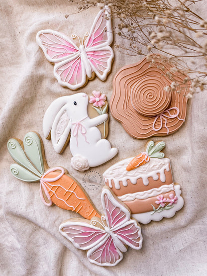 Sweet Spring Cookie Class