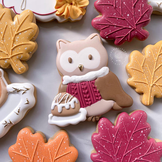 Cozy Owl Cookie Cutter